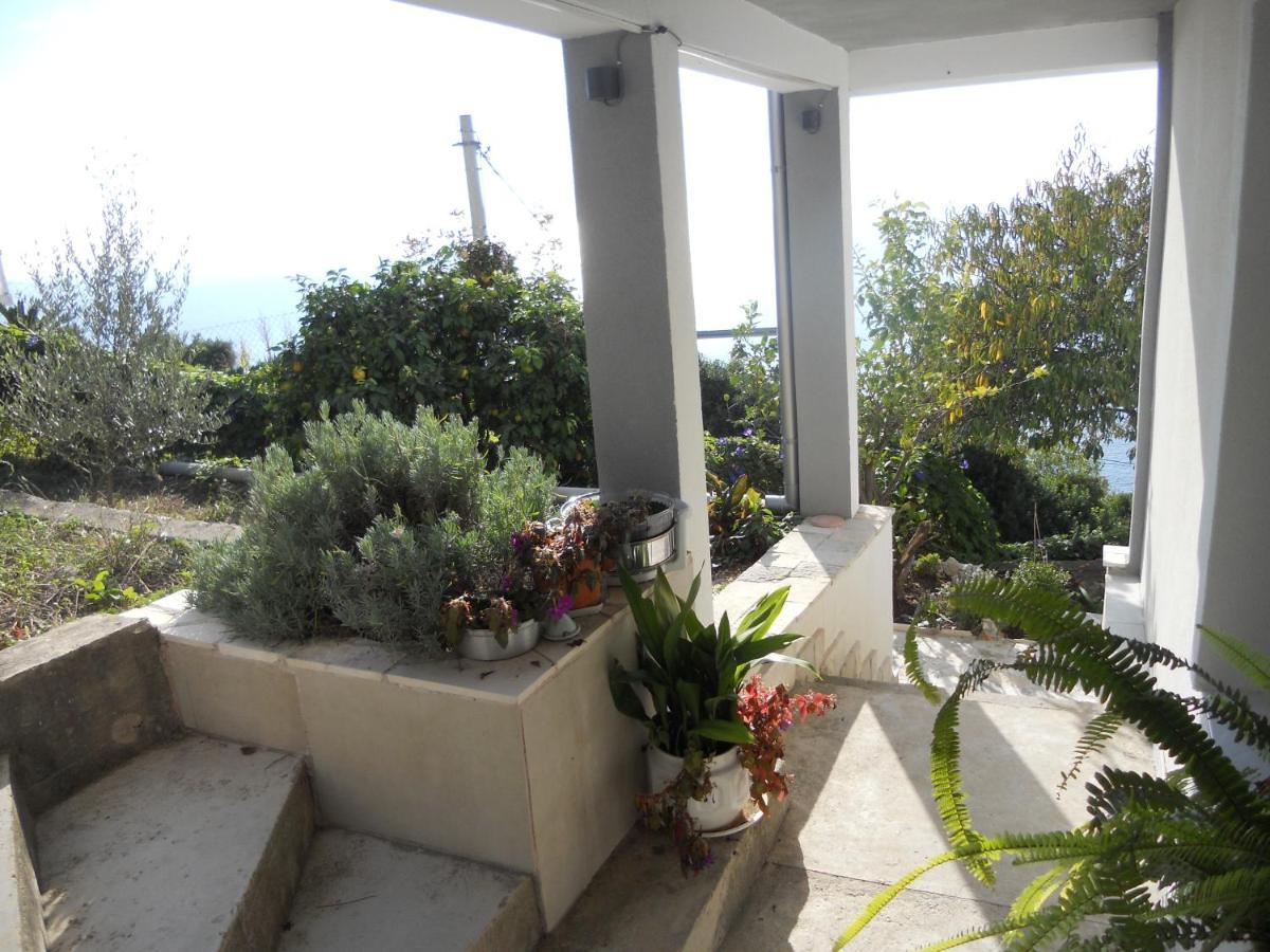 דירות דוברה וודה Blue Horizon מראה חיצוני תמונה