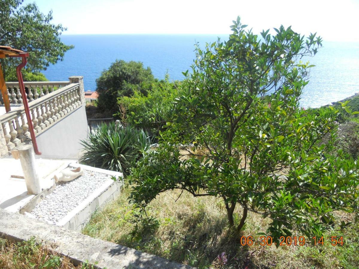 דירות דוברה וודה Blue Horizon מראה חיצוני תמונה